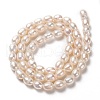 Natural Cultured Freshwater Pearl Beads Strands PEAR-L033-66-01-3