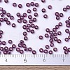 MIYUKI Round Rocailles Beads X-SEED-G007-RR1342-4