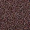 TOHO Round Seed Beads SEED-XTR11-1850-2