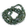 Natural Green Apatite Beads Strands G-G011-09-3