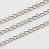 304 Stainless Steel Twisted Chains Curb Chains CHS-K001-24-2.5mm-1