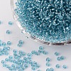 (Repacking Service Available) 8/0  Glass Seed Beads SEED-C014-3mm-23-1