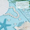 Beebeecraft 1 Strand Natural Cultured Freshwater Pearl Beads Strands PEAR-BBC0001-21-4