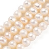 Natural Cultured Freshwater Pearl Beads Strands PEAR-C003-10H-2