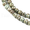 Natural Maifanite/Maifan Stone Beads Strands G-P451-01C-E-4