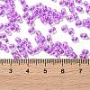 Glass Seed Beads SEED-L011-05B-03-4