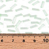 Glass Bugle Beads SEED-N007-28G-4