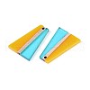 Transparent Resin & Wood Pendants RESI-T057-78-2