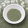 MIYUKI Delica Beads X-SEED-J020-DB0263-2