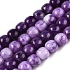 Dyed Natural White Jade Beads Strands G-T138-S13-4