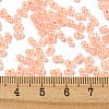 Ceylon Glass Seed Beads SEED-K009-02B-43-4
