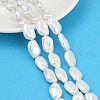 Electroplate Porcelain Imitation Pearl Beads Strands BSHE-Z009-01A-1