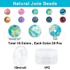 SUNNYCLUE 200Pcs DIY Natural & Dyed Ocean White Jade Beaded Stretch Bracelet Making Kits DIY-SC0014-78-2