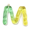 Resin Pendant FIND-Q107-01M-04-1