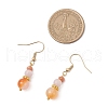 Round Natural Carnelian Dangle Earrings EJEW-JE06469-4