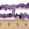 Natural Amethyst Beads Strands G-G0003-B44-5