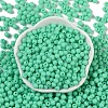 Opaque Acrylic Beads SACR-A007-01C-23-2