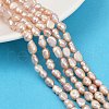 Natural Cultured Freshwater Pearl Beads Strands PEAR-P064-20H-02D-1