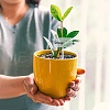 CHGCRAFT 1 Set Acrylic Plant Labels AJEW-CA0004-57A-7