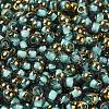Glass Seed Beads SEED-H002-B-D222-3