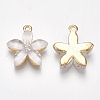 Alloy Pendants X-PALLOY-S177-01E-2