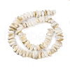 Natural Anomaly Freshwater Shell Beads Strands BSHE-S304-05B-2