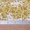 MIYUKI Delica Beads Small SEED-J020-DBS0042-4
