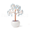 Mother's Day Natural Aquamarine Gemstone Chips with Brass Wrapped Wire Money Tree on Ceramic Vase Display Decorations DJEW-B007-02G-1