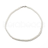Glass Pearl Round Beaded Necklace for Women NJEW-JN03903-1