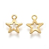 201 Stainless Steel Charms STAS-B001-28A-G-2