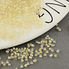 12/0 Glass Seed Beads SDB134-1