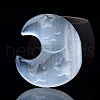 Crescent Moon with Star Natural Selenite Figurines DJEW-PW0021-06-1