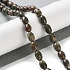 Natural Multi-Color Agate Beads Strands G-I369-B14-01-2