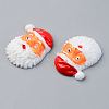 Resin Cabochons RESI-R429-28-3