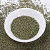 MIYUKI Delica Beads SEED-X0054-DB0372-2