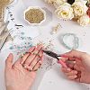 Ornaland 12/0 Round Glass Seed Beads SEED-OL0001-08A-02-6