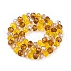 Transparent Glass Beads Strands GLAA-T023-09D-2