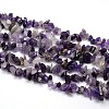 Natural Amethyst Beads Strands G-O049-C-48-1