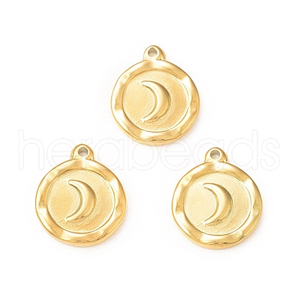 304 Stainless Steel Pendants STAS-A075-13G-1