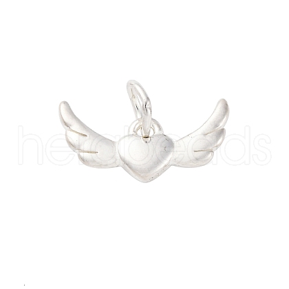 925 Sterling Silver Charms STER-S010-01B-S-1