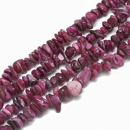 Freshwater Shell Beads Strands X-SHEL-S270-06-1