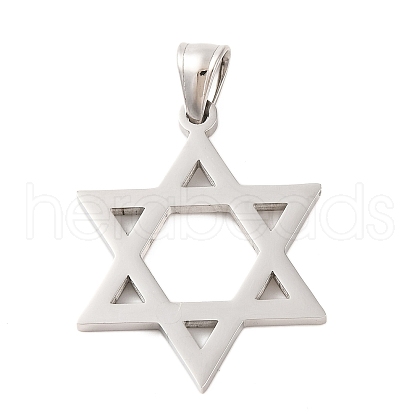 Non-Tarnish 316 Surgical Stainless Steel Pendants STAS-Z073-18P-1