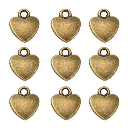 Tibetan Style Alloy Charms MLF1170Y-1