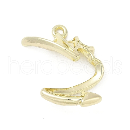 Alloy Pendants PALLOY-R151-14G-1