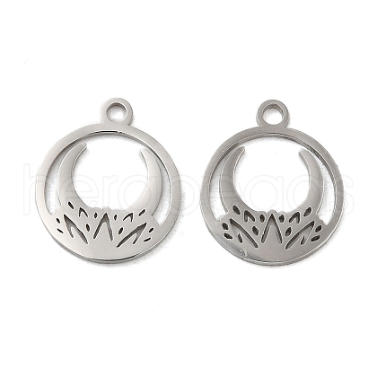 Non-Tarnish 304 Stainless Steel Charms STAS-J042-05P-1
