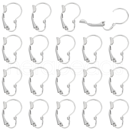 DICOSMETIC 20Pairs 304 Stainless Steel Leverback Earring Findings STAS-DC0007-32-1