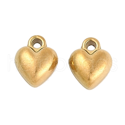 Ion Plating(IP) 304 Stainless Steel Charms STAS-R135-01G-01-1