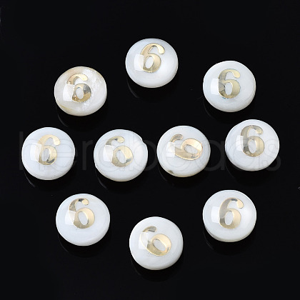 Natural Freshwater Shell Beads SHEL-N003-20-06-1
