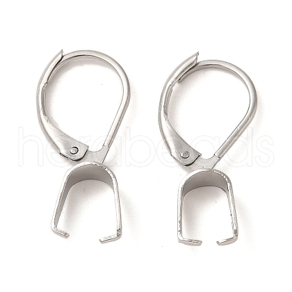 304 Stainless Steel Leverback Earring Findings STAS-U025-01P-02-1