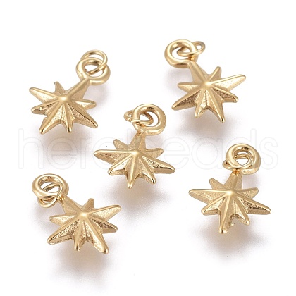Ion Plating(IP) 304 Stainless Steel Charms STAS-I164-020A-1